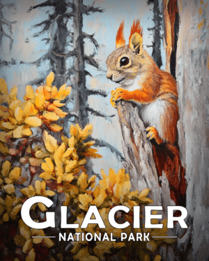 Glacier National Park - Red Squirrel