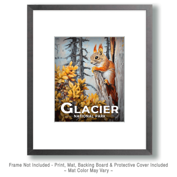 Glacier National Park - Red Squirrel Art