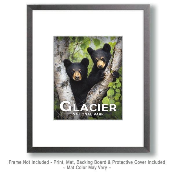 Glacier National Park - Two Bear Cubs Art