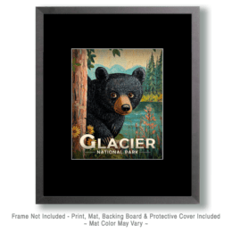Glacier National Park - Peek-a-Boo Bear Art