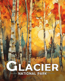 Glacier National Park - Birch Forest Morning