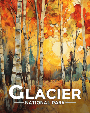 Glacier National Park - Birch Forest Morning