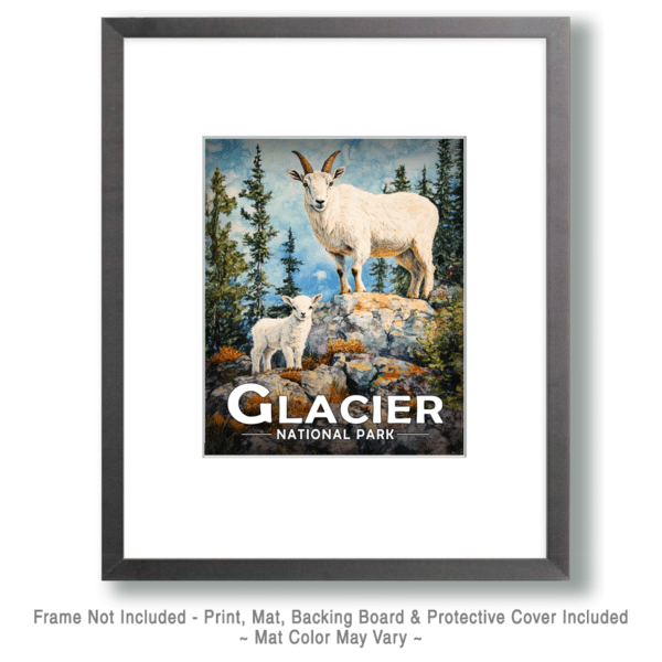 Glacier National Park - Mountain Goat and Baby Art