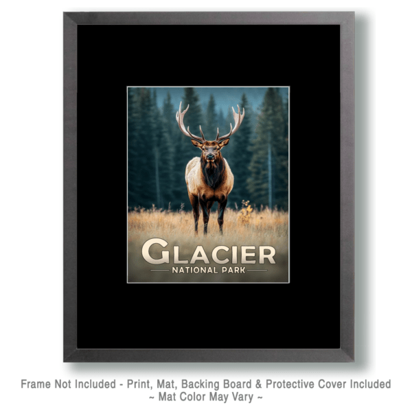 Glacier National Park - Standing Bull Elk Art