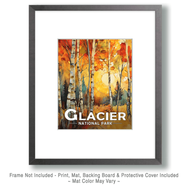 Glacier National Park - Birch Forest Morning Art