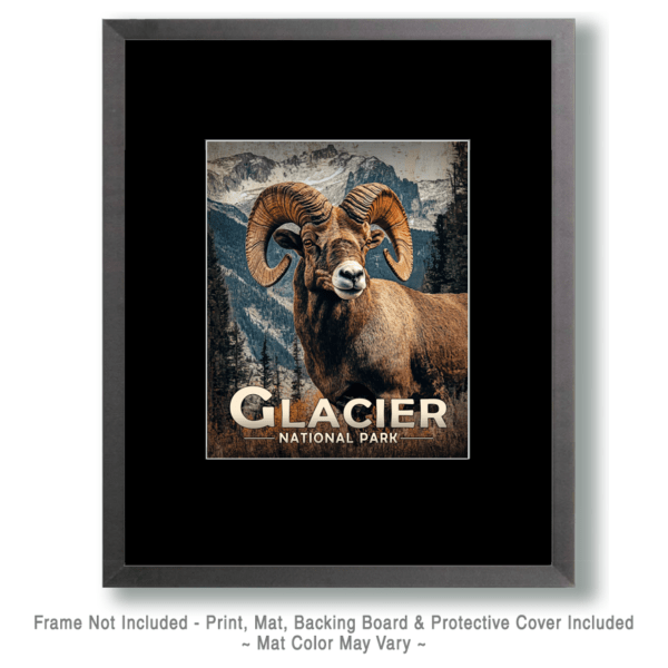 Glacier National Park - Bighorn Sheep Ram Art