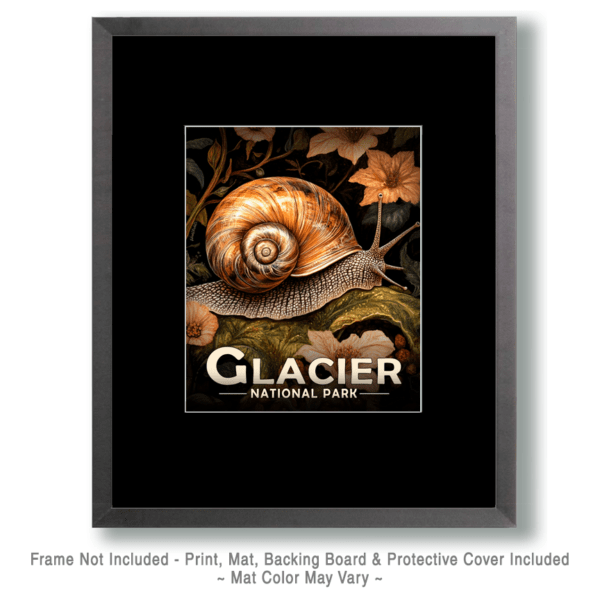 Glacier National Park - Forest Snail Art