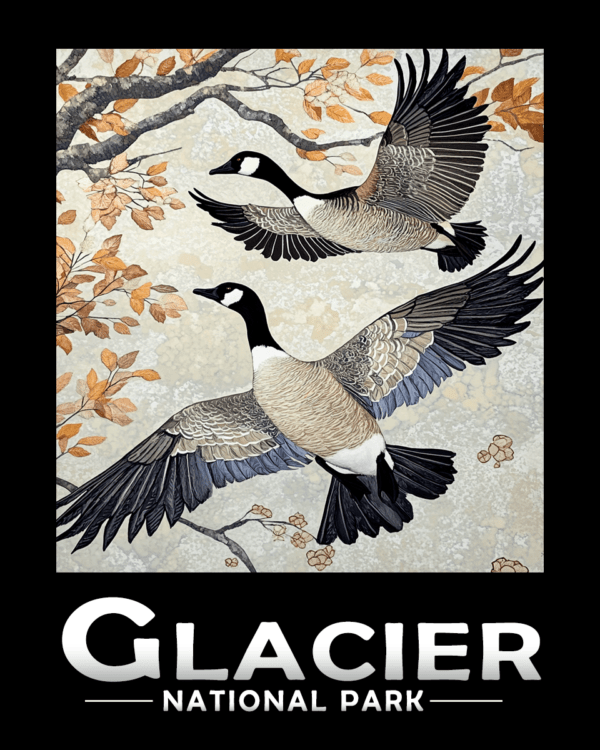 Glacier National Park - Flying Canadian Geese