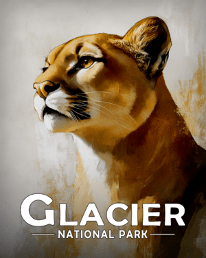 Glacier National Park - Proud Mountain Lion