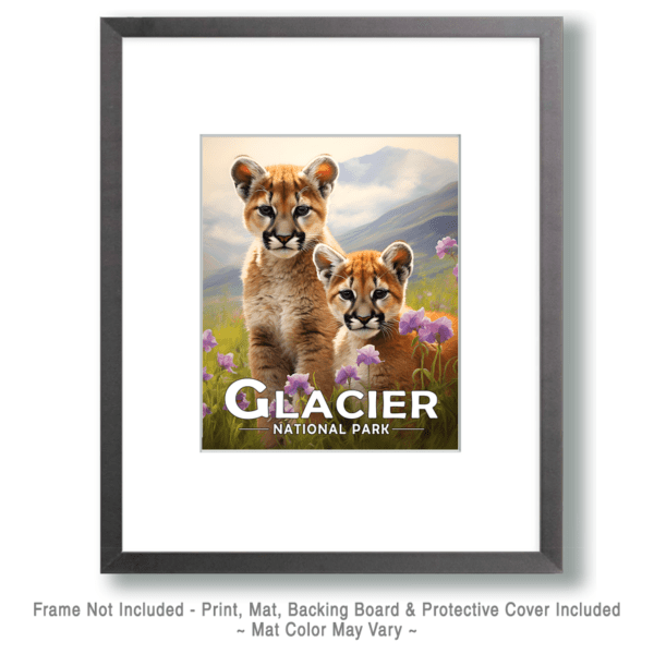 Glacier National Park - Mountain Lion Cubs Art