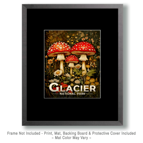 Glacier National Park - Amanitas Art