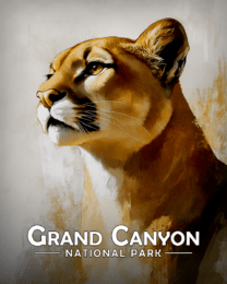 Grand Canyon National Park - Proud Mountain Lion