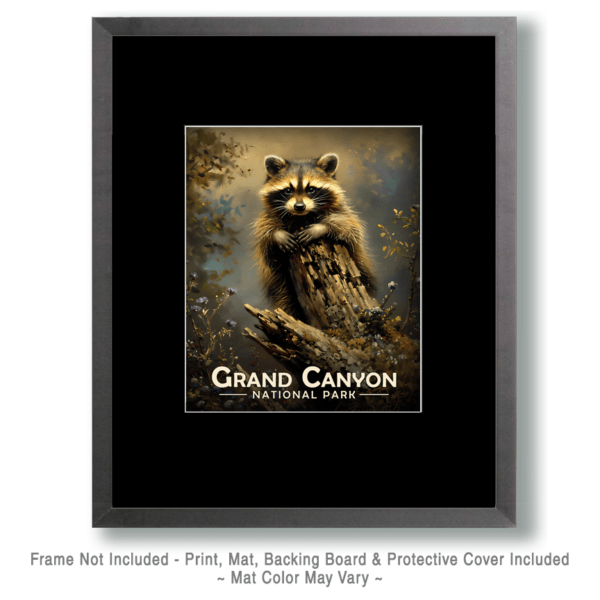 Grand Canyon National Park - Raccoon Kit Art