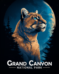 Grand Canyon National Park - Midnight Mountain Lion