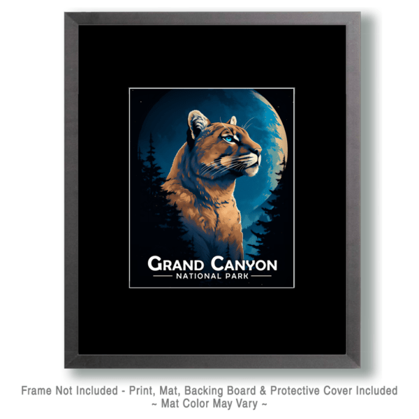 Grand Canyon National Park - Midnight Mountain Lion Art