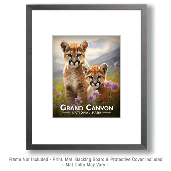 Grand Canyon National Park - Mountain Lion Cubs Art