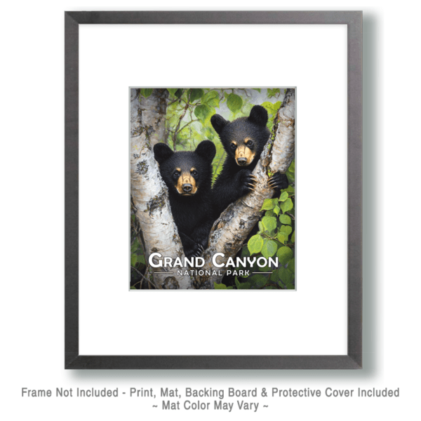 Grand Canyon National Park - Two Bear Cubs Art