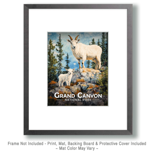 Grand Canyon National Park - Mountain Goat and Baby Art