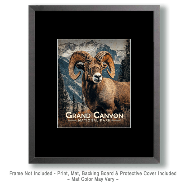 Grand Canyon National Park - Bighorn Ram Art