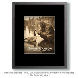 Grand Canyon National Park - Bigfoot Talking to a Canadian goose Art