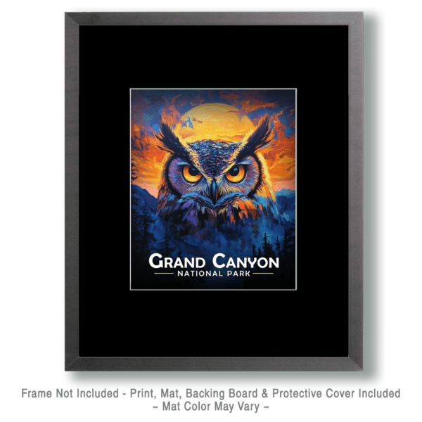 Grand Canyon National Park - Midnight Owl Art