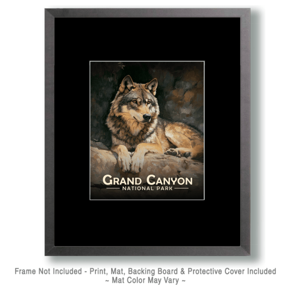 Grand Canyon National Park - Relaxing Wolf Art