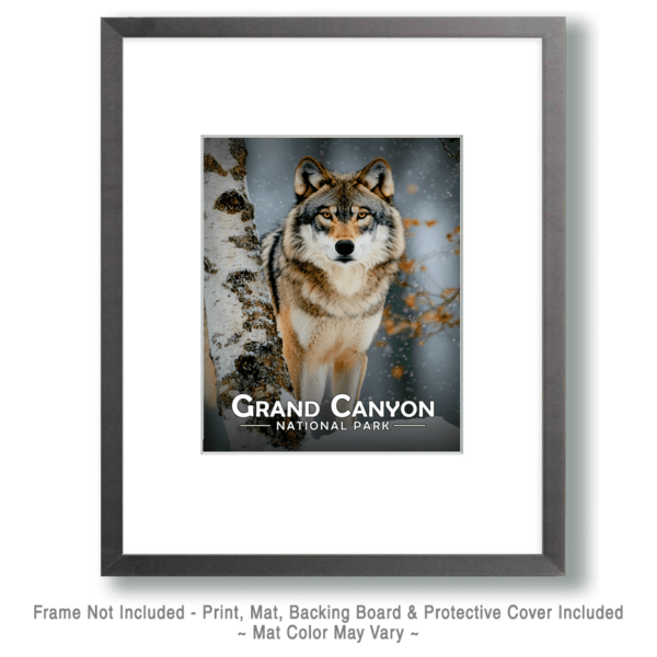 Grand Canyon National Park - Wolf and Birch Art