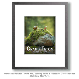 Grand Teton National Park - Fairy Meets Snail Art