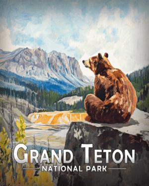 Grand Teton National Park - Sitting Bear