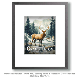 Grand Teton National Park - Elk by Creek Art