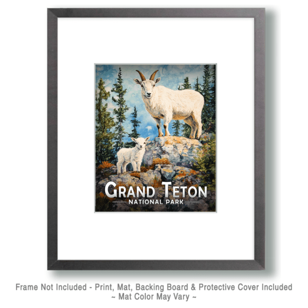 Grand Teton National Park - Mountain Goat and Baby Art