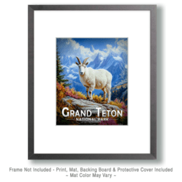 Grand Teton National Park - Mountain Goat Art