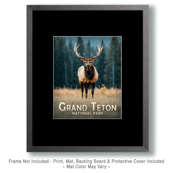 Grand Teton National Park - Standing Bull Elk Art