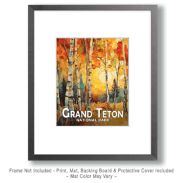 Grand Teton National Park - Birch Forest Art