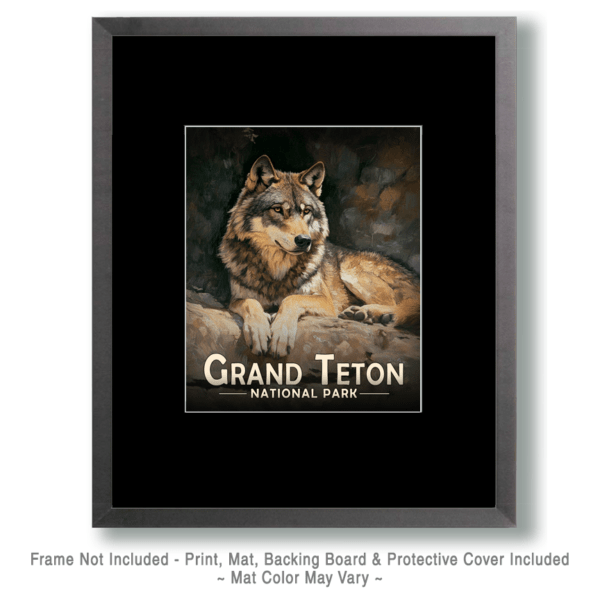 Grand Teton National Park - Relaxing Wolf Art