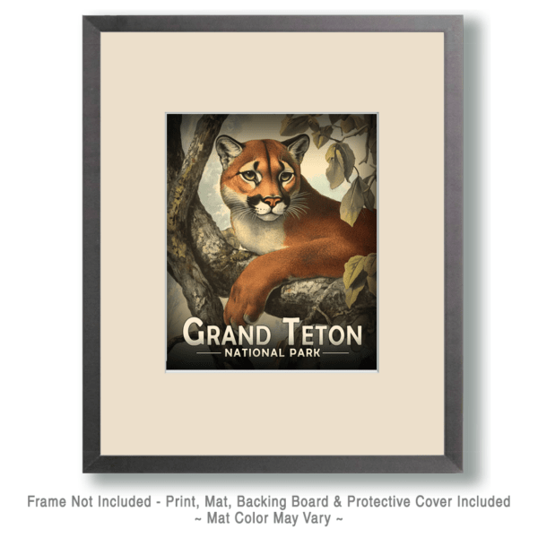 Grand Teton National Park - Antique Style Mountain lion Art