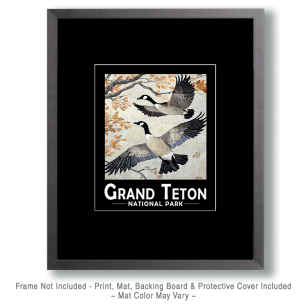 Grand Teton National Park - Flying Canadian Geese Art