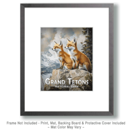 Grand Teton National Park - Pair of Red Fox Art