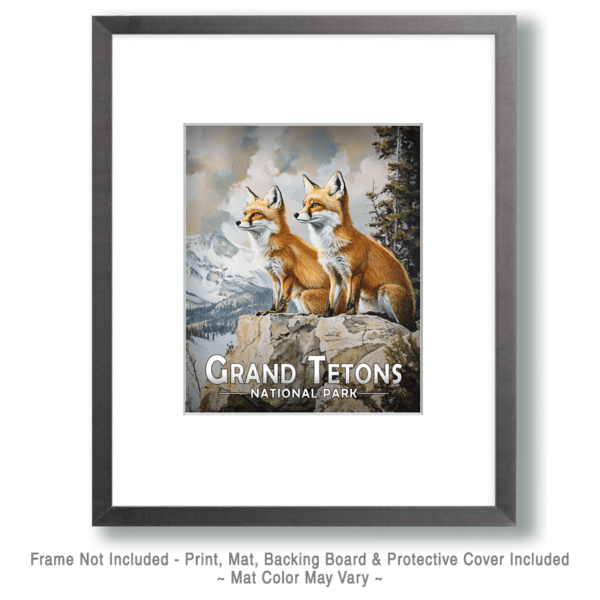 Grand Teton National Park - Pair of Red Fox Art