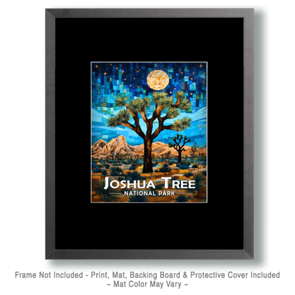 Joshua Tree National Park - Full Moon Night Art