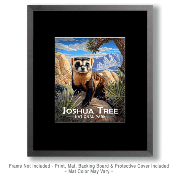 Joshua Tree National Park - Black Footed Ferret Art