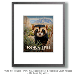 Joshua Tree National Park - Endangered Black Footed Ferret Art