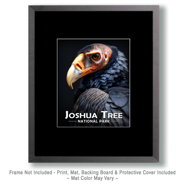 Joshua Tree National Park - Vulture Art