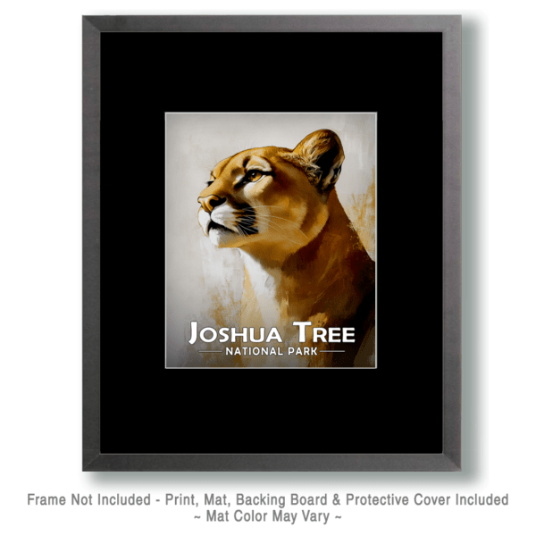 Joshua Tree National Park - Proud Mountain Lion Art