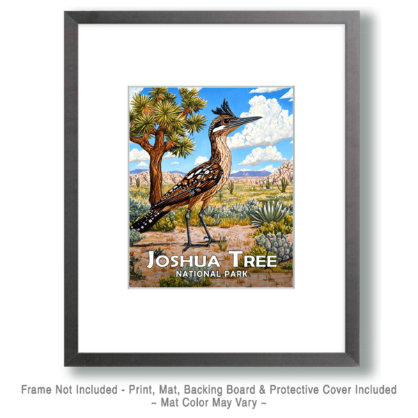 Joshua Tree National Park - Desert Roadrunner Art