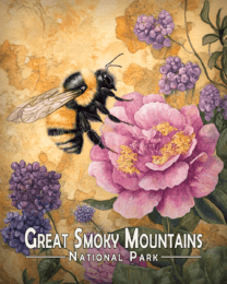 Great Smoky Mountains - Bumblebee