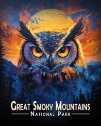 Great Smoky Mountains - Stylized Owl