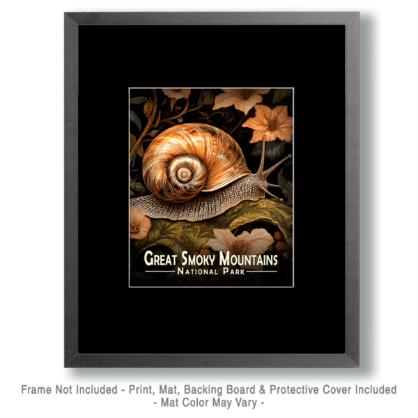 Great Smoky Mountains - Snail in Forest Art