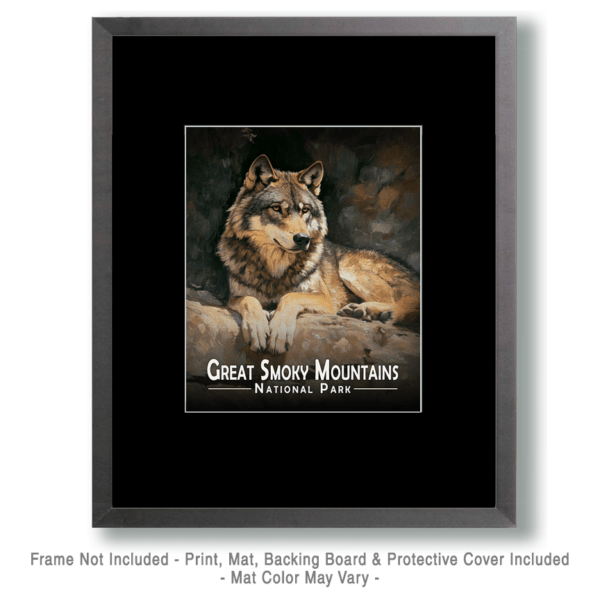 Great Smoky Mountains - Resting Grey Wolf Art