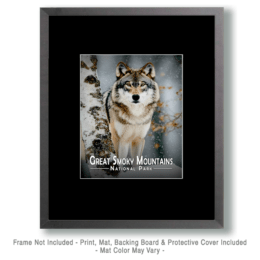 Great Smoky Mountains - Grey Wolf by Birch Art